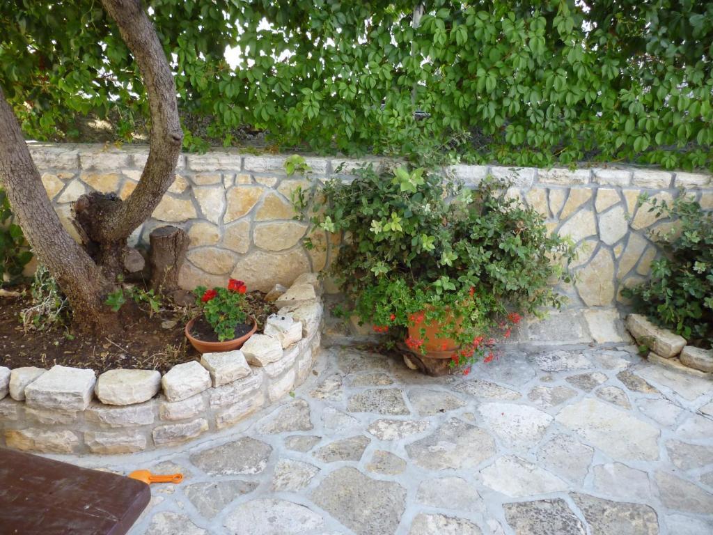 Apartments Pralija Zaboric Εξωτερικό φωτογραφία